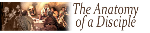 The Anatomy of a Disciple