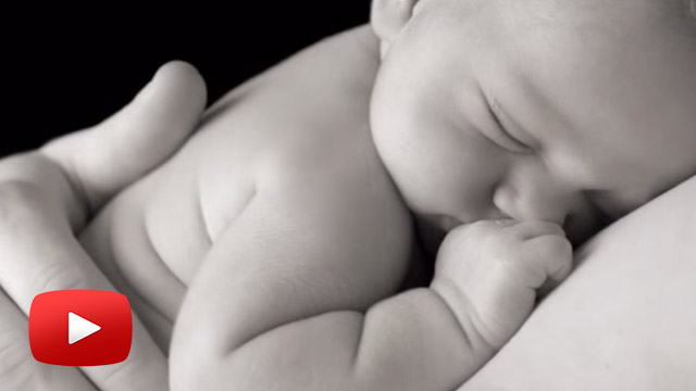 Miracle of Life (video)