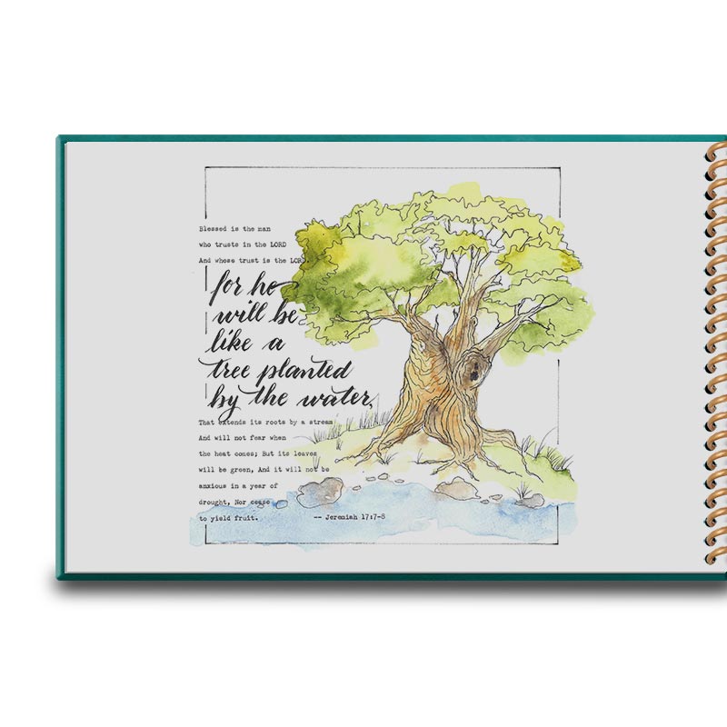 Heart Reflections - Week 45 illustration