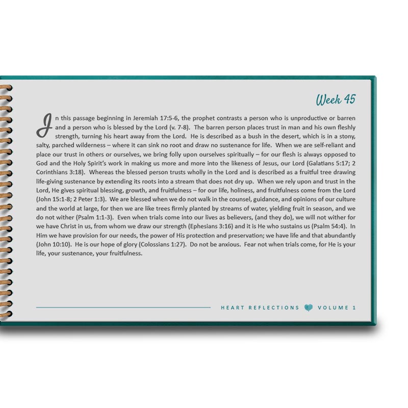 Heart Reflections - Week 45 text