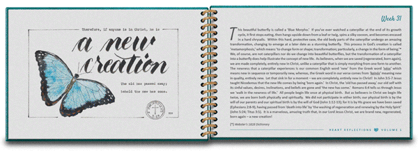 Heart Reflections (sample pages)